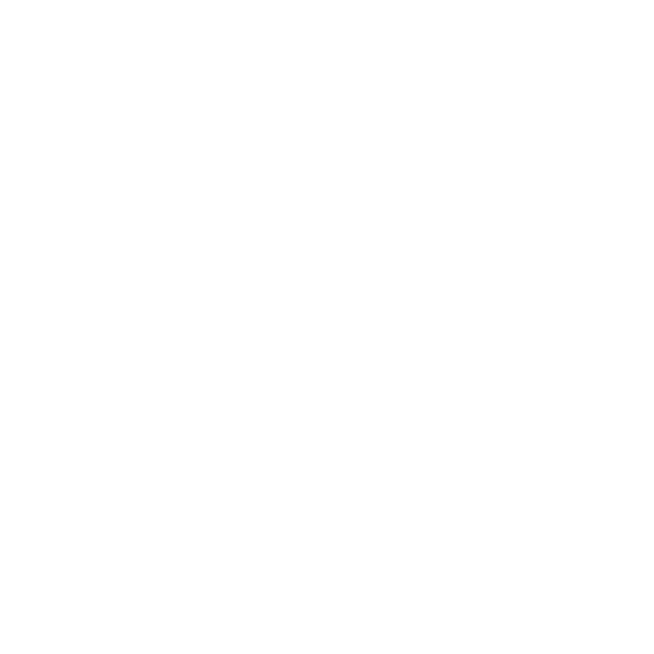 Northern Spruce Media White Logo